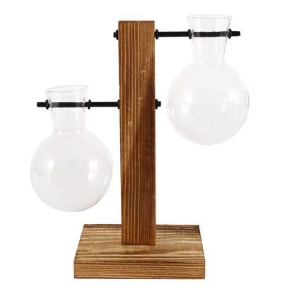 Creative Glass Desktop Planter Bulb Vase with Wooden Stand - Emelay