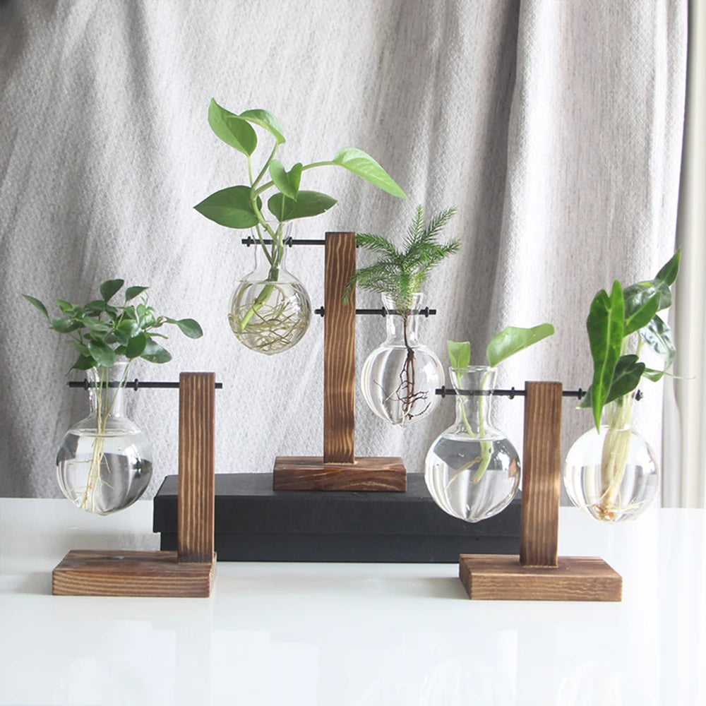 Creative Glass Desktop Planter Bulb Vase with Wooden Stand - Emelay