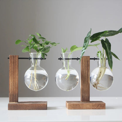 Creative Glass Desktop Planter Bulb Vase with Wooden Stand - Emelay