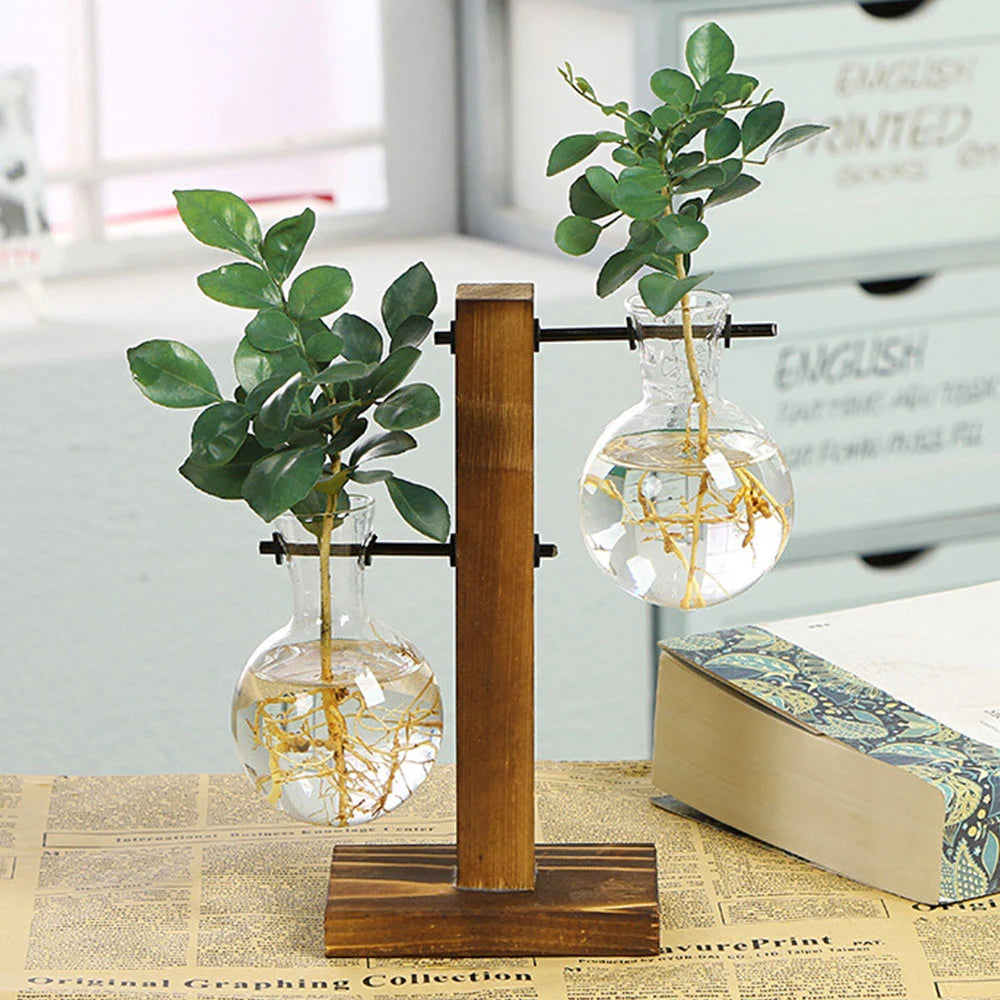 Creative Glass Desktop Planter Bulb Vase with Wooden Stand - Emelay