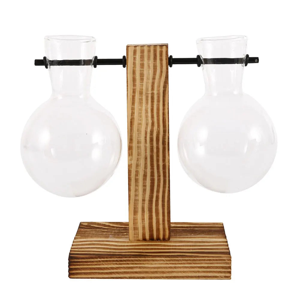 Creative Glass Desktop Planter Bulb Vase with Wooden Stand - Emelay