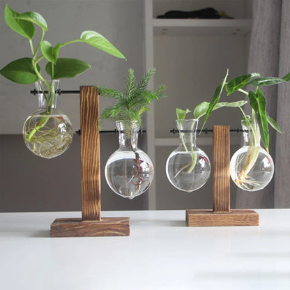 Creative Glass Desktop Planter Bulb Vase with Wooden Stand - Emelay